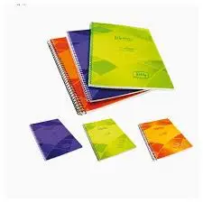 CAHIER SPIRALE A4 300P 5/5 MEMORIS