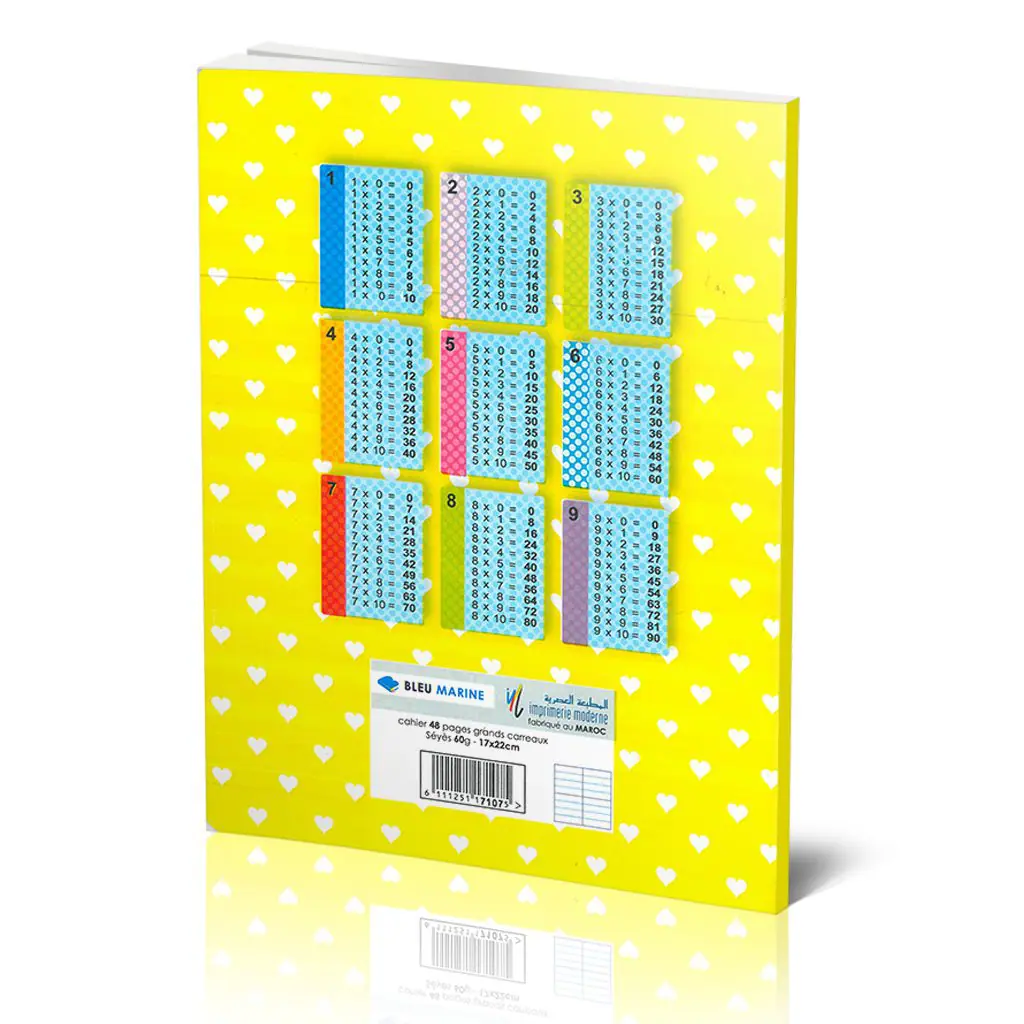 CAHIER PETIT FORMAT 48 PAGE SKOLA