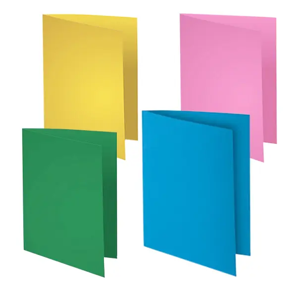 CHEMISE CARTONNEE 1 COULEUR