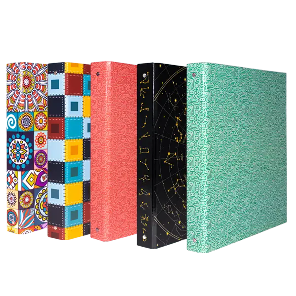 CLASSEUR ECOLIER PVC 4 ANN