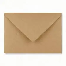 [2P000619] ENVELOPPE KRAFT A4 81