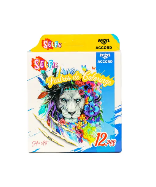 FEUTRE DE COLORIAGE SPM1259 ACCORD