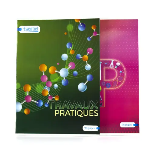 [2P0002046] CAHIER FORMAT A4 TP 96P ESSENTIEL