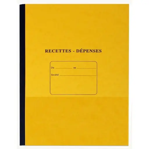 [2P0002087] CAHIER RECETTES ET DEPENSES A4