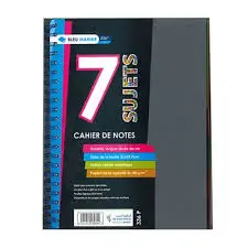 [2P0002408] REGISTRE A4 384P SEYES 7SUJETS