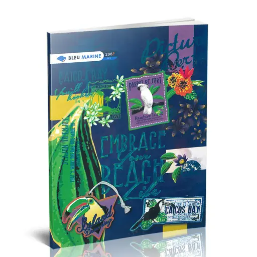 [2P0002707] CAHIER GRAND FORMAT 288 PAGES SHEMS