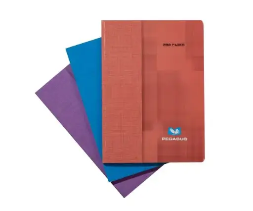 [2P0002960] REGISTRE 3M PEGASUS