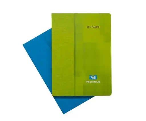 [2P0002961] CAHIER FORMAT A4 384 PAGES PEGASUS