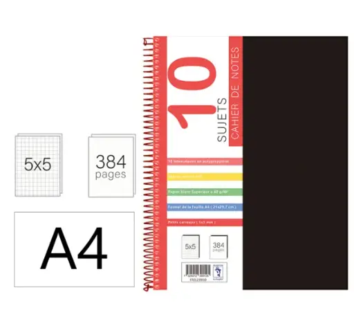 [2P0004932] REGISTRE A4 10 SUJETS 384P 5*5