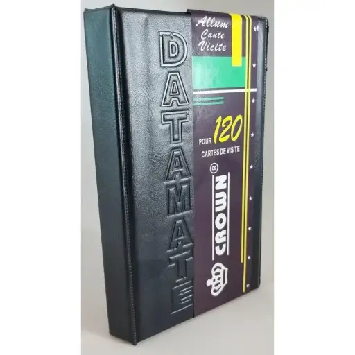 [2P0006856] ALBUM CARTE VISITE BUSINESS