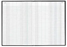 [2P0006981] REGISTRE JOURNAL RAISIN 2M