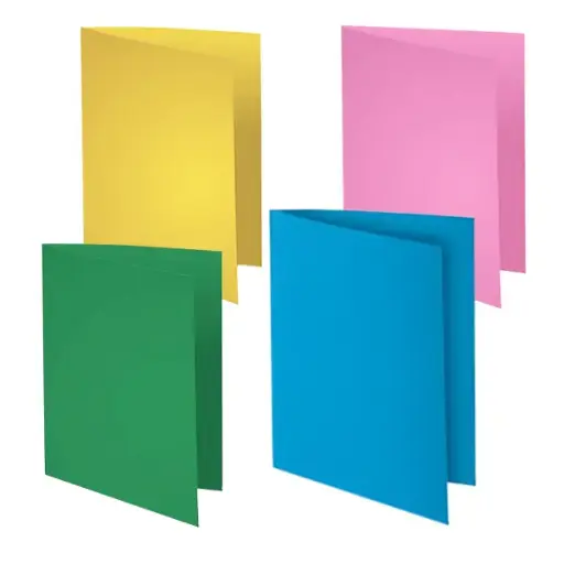 [2P000146] CHEMISE CARTONNEE 1 COULEUR