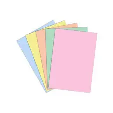 [2P000154] CHEMISES CARTONEES MULTICOULEURS