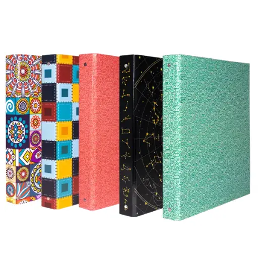 [2P0005098] CLASSEUR ECOLIER PVC 4 ANN