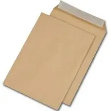 [2P000636] POCHETTE DE PAIE