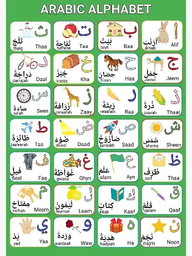 [2P0004471] TABLEAU ALPHABET ARABE 70*50