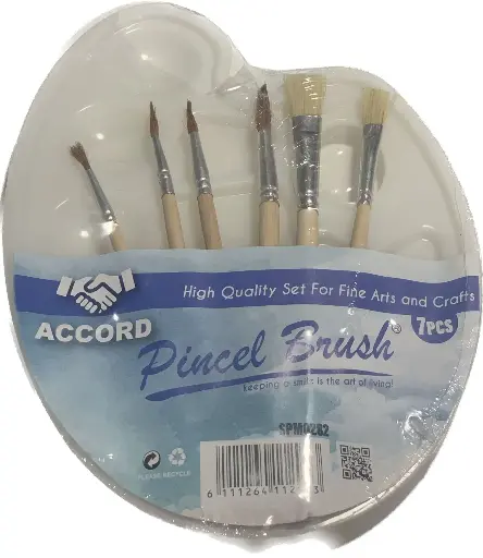 [2P0005003] SET PALETTE AVEC PINCEAUX ACCORD