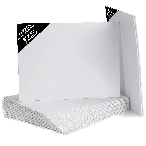 [2P000560] CANVAS TOILE 20*30