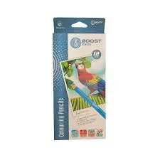 [2P0006213] CRAYON COULEUR 12 BOOST SCHOOL