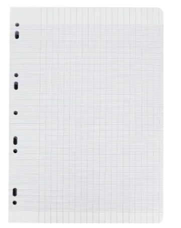 [2P000455] FEUILLE SIMPLE A4 10/10 ESSENTIEL