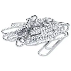 [2P000240] PAPER CLIPS