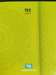 CAHIER SAFIR 192P SEYES 